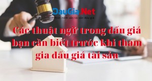 Các thuật ngữ trong đấu giá bạn cần biết trước khi tham gia đấu giá tài sản mà bạn cần biết