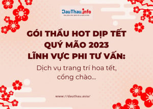 Gói thầu HOT dịp tết Quý Mão 2023  lĩnh vực phi tư vấn