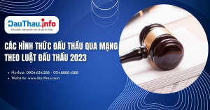 Các hình thức đấu thầu qua mạng theo Luật Đấu thầu 2023