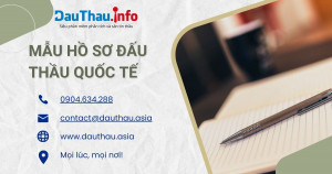 Mẫu hồ sơ đấu thầu quốc tế