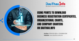 Using Points to Download Business Registration Certificates, Organizational Charts, and Company Charters on DauThau.info