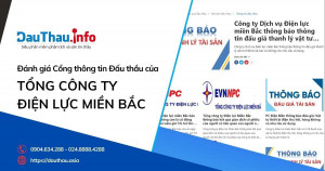 Đánh giá Cổng thông tin Đấu thầu của Tổng công ty Điện lực miền Bắc