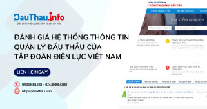 Đánh giá Hệ thống thông tin quản lý Đấu thầu của Tập đoàn Điện lực Việt Nam