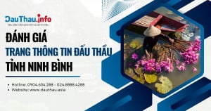 Đánh giá trang thông tin đấu thầu của Tỉnh Ninh Bình