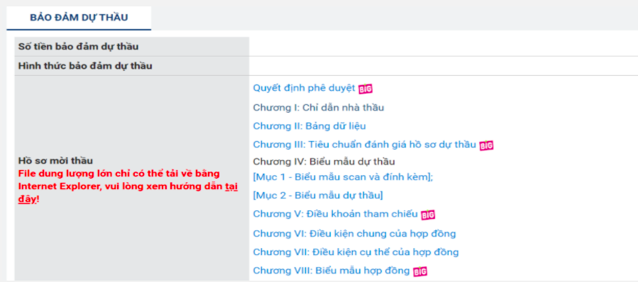 Tải file Hồ sơ mời thầu vẫn bị phụ thuộc Internet Explorer